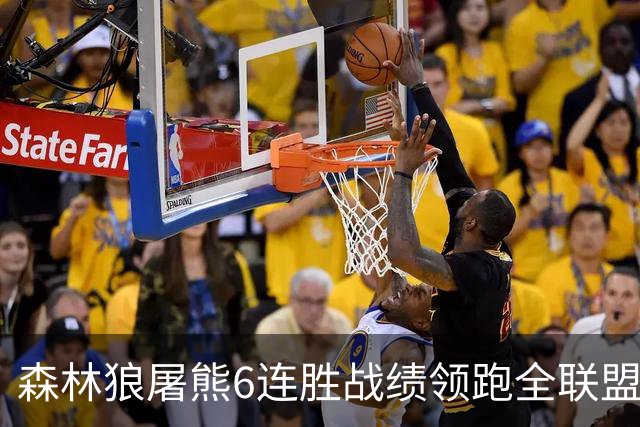 森林狼屠熊6连胜战绩领跑全联盟 骑士力克热火